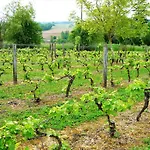 Le Manoir De Gaboria